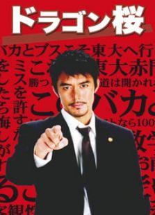 龙樱在线观看,一场青春与梦想的激荡之旅 第1张 龙樱在线观看,一场青春与梦想的激荡之旅 第1张