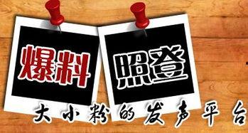 最新龙吟爆料新闻,揭秘神秘龙族势力崛起背后的真相