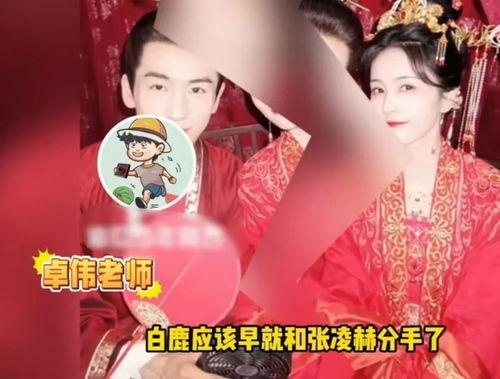 助力爆料白鹿视频大全,助力爆料,揭开神秘面纱 第2张 助力爆料白鹿视频大全,助力爆料,揭开神秘面纱 第2张